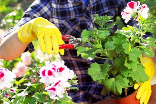 Company representative documenting a garden maintenance concern on site