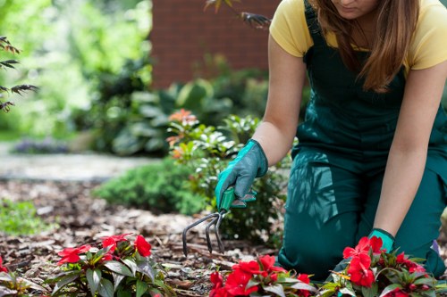 Worker using protective equipment while trimming hedges