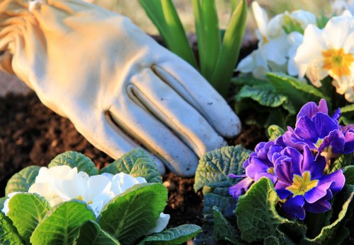 Gardener with tools at front garden in Purley