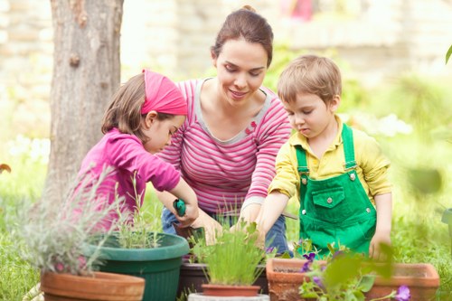 Lawn care in Purley garden maintenance
